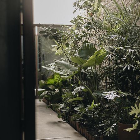 Casa Nah Villa Mérida Kültér fotó